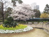 img0031.jpg