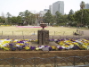 img0032.jpg