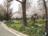 img0033.jpg