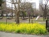 img0035.jpg