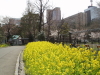 img0037.jpg