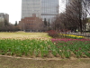 img0040.jpg