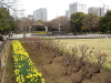 img0041.jpg