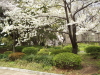 img0043.jpg