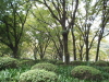 img0053.jpg