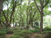 img0054.jpg
