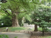 img0055.jpg