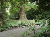 img0056.jpg