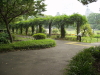 img0057.jpg