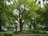 img0058.jpg