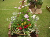 img0066.jpg