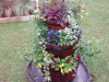 img0067.jpg