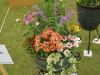 img0070.jpg