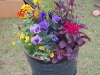 img0071.jpg