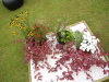 img0072.jpg