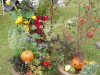 img0076.jpg