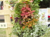 img0078.jpg