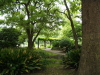 img0089.jpg