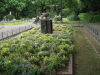 img0093.jpg