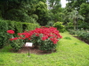 img0094.jpg