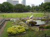 img0096.jpg