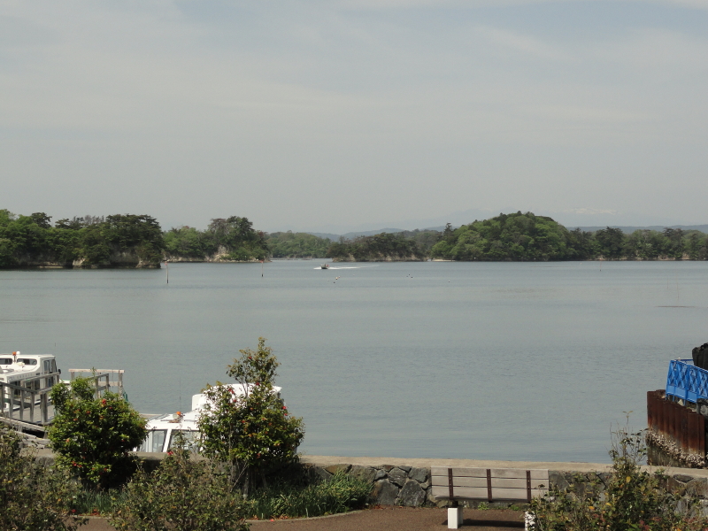 img0010.jpg