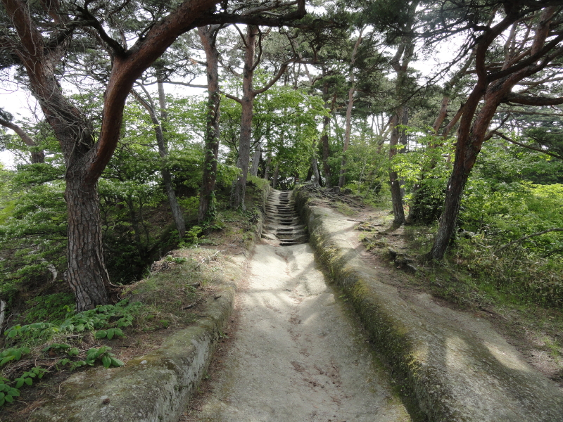 img0011.jpg