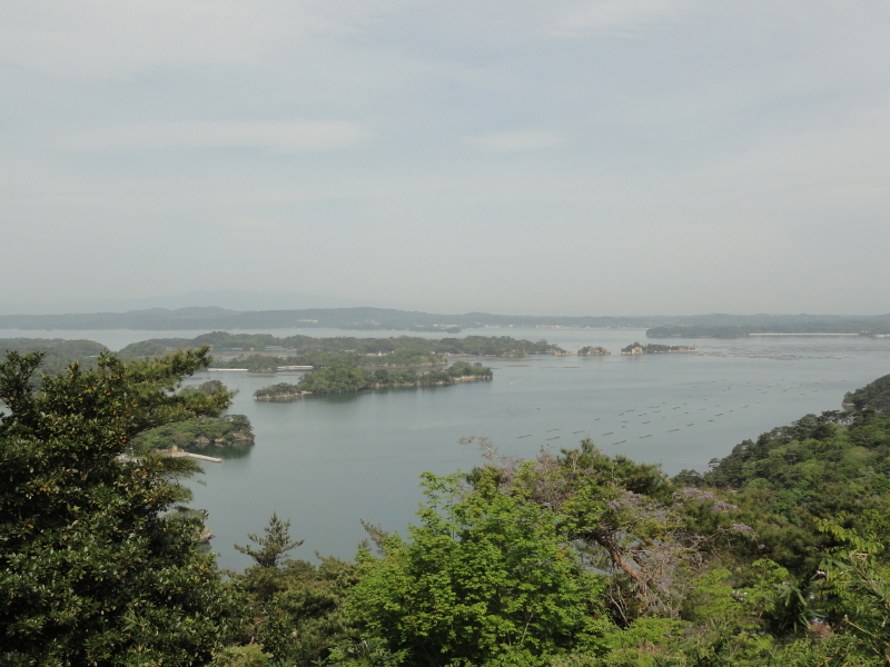 img0018.jpg