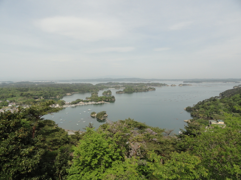 img0019.jpg