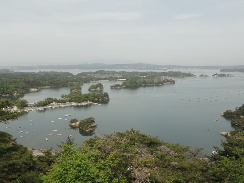 img0020.jpg