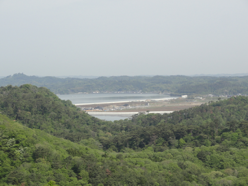 img0029.jpg