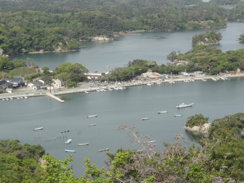 img0031.jpg