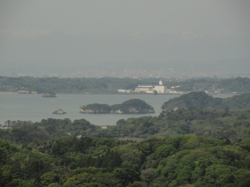 img0049.jpg