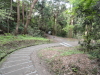 img0013.jpg