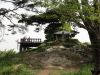 img0017.jpg