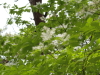 img0067.jpg
