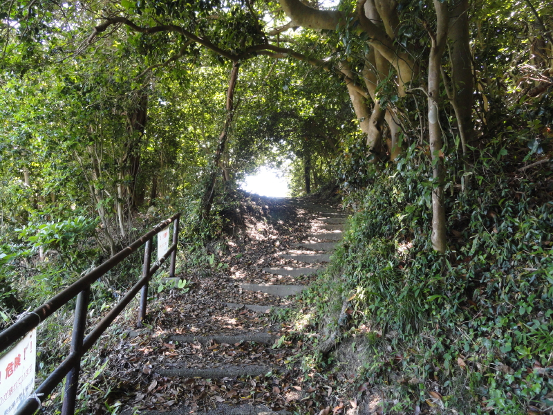 img0001.jpg