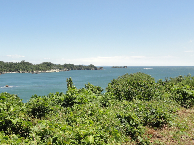 img0017.jpg