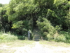 img0000.jpg