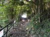 img0001.jpg