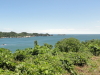 img0017.jpg