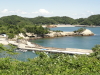 img0025.jpg