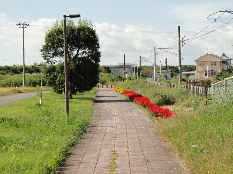 img0015.jpg