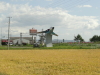 img0017.jpg