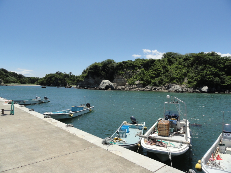 img0010.jpg