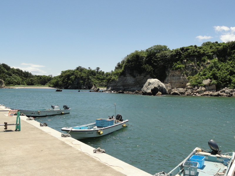 img0011.jpg