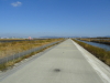 img0039.jpg