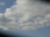 img0043.jpg