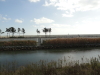 img0045.jpg