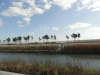 img0047.jpg